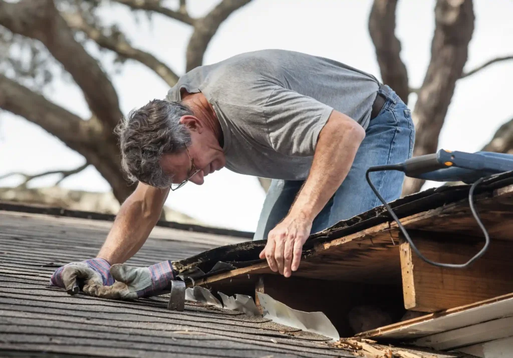 Shingle Roof Maintenance- Tips for Keeping Your Roof in Top Condition