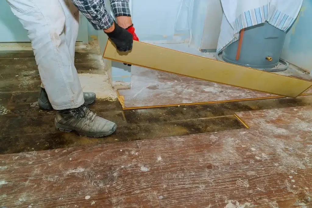 mold underneath flooring 